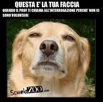 Faccia triste e delusa da studente Succede quando non puoi copiare
