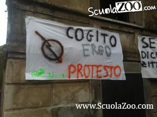 Il liceo scientifico autogestito di petilia policastro in provincia di crotone