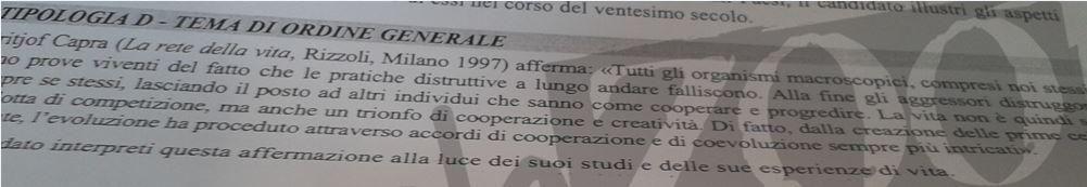 tipologia D in prima prova