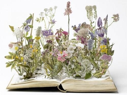 mazzi-di-fiori-vari-su-un-libro-opere-di-carta-500x375