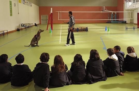 pet-therapy