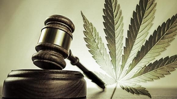 legalizzazione cannabis