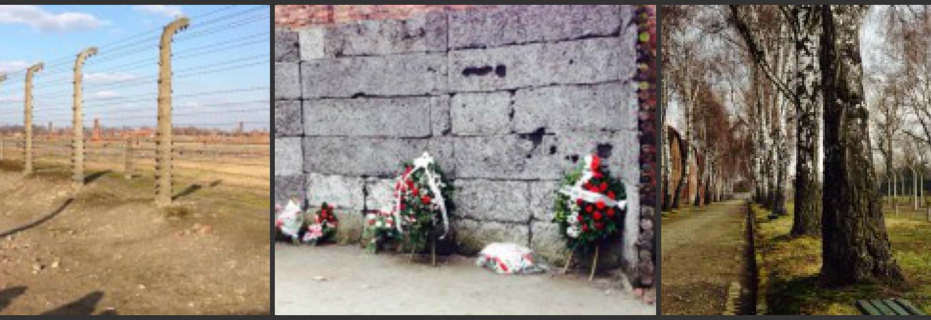 il treno della memoria 