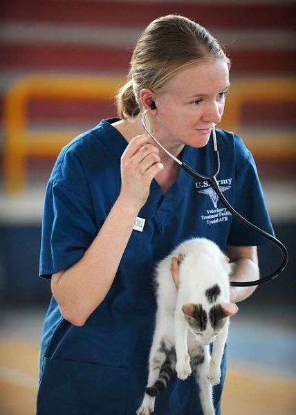 test-ingresso-veterinaria-2018-bando-iscrizione-domande