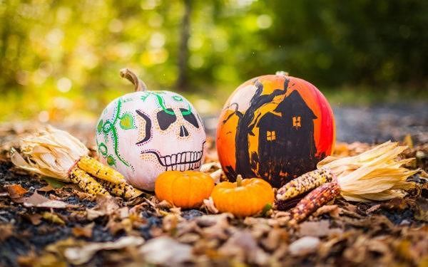 Cosa fare ad Halloween: 7 eventi alternativi e terrificanti per ragazzi