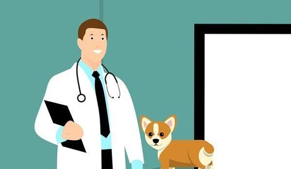 test-veterinaria-2020-data-bando-posti