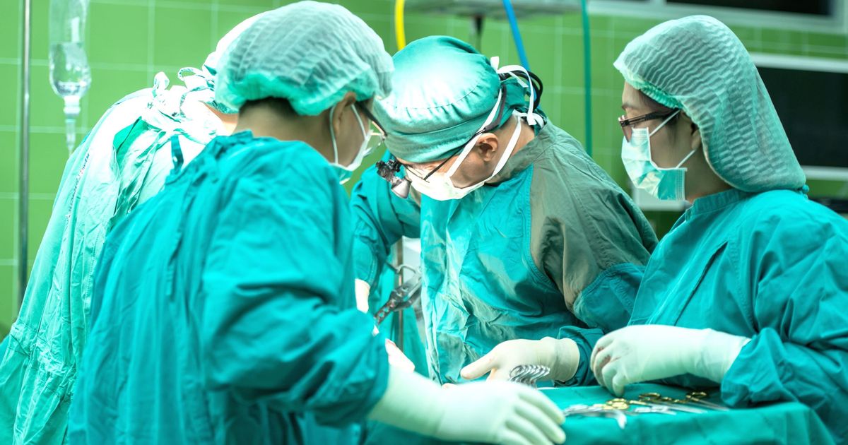Come Passare Il Test Di Medicina Senza Studiare