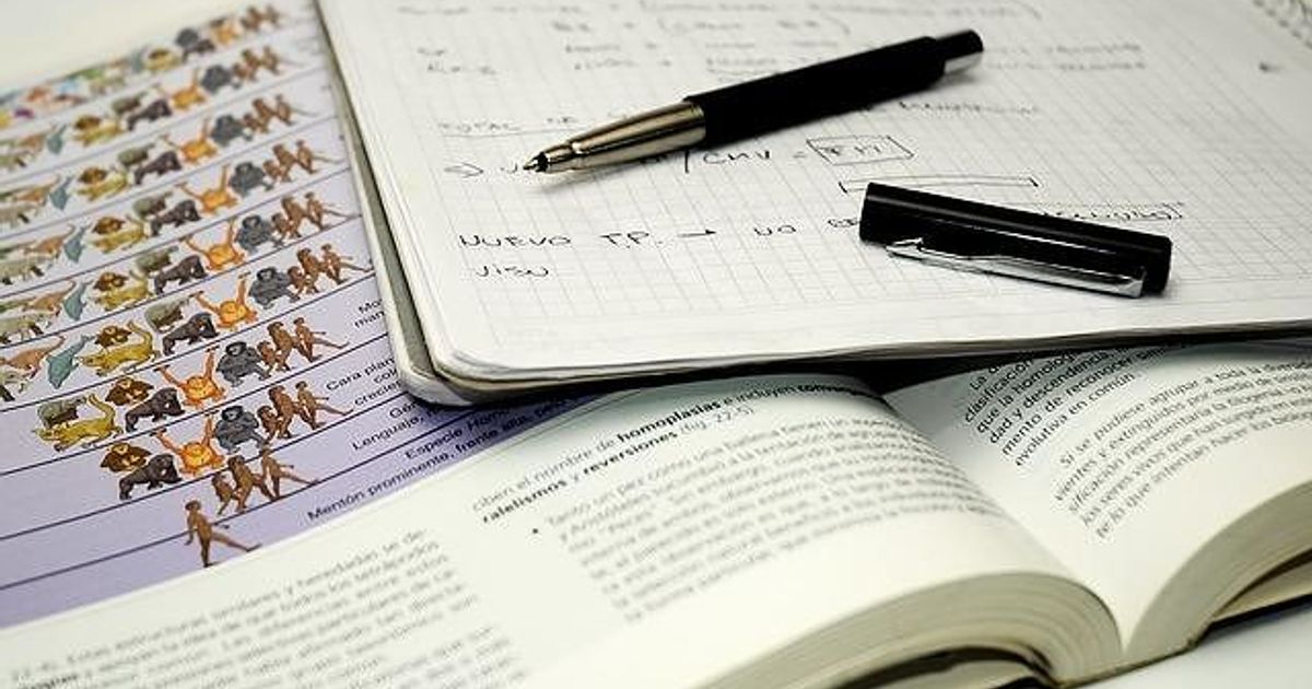 Come Passare Il Test Di Medicina Senza Studiare